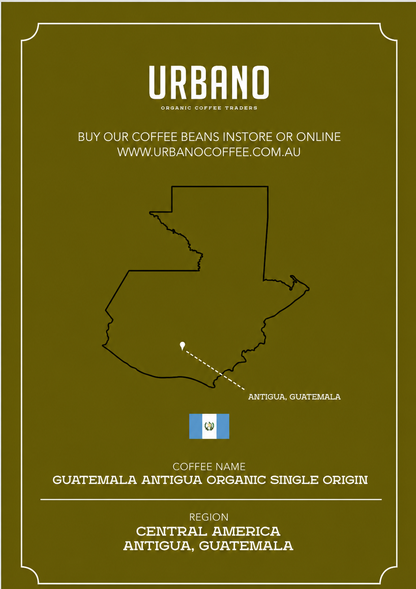 Guatemala Antigua Organic Single Origin