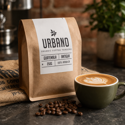Guatemala Antigua Organic Single Origin